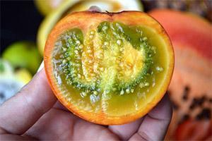 nutrient